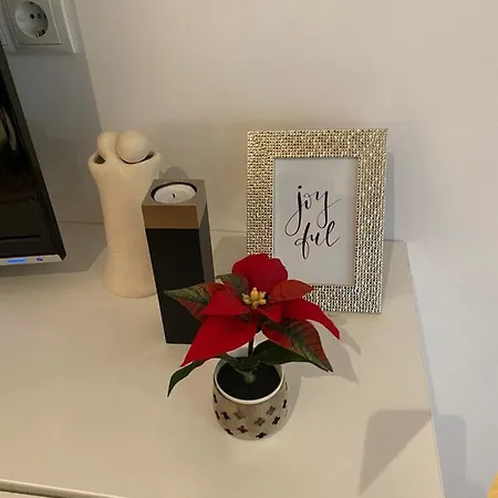 In Graz-geidorf Graz